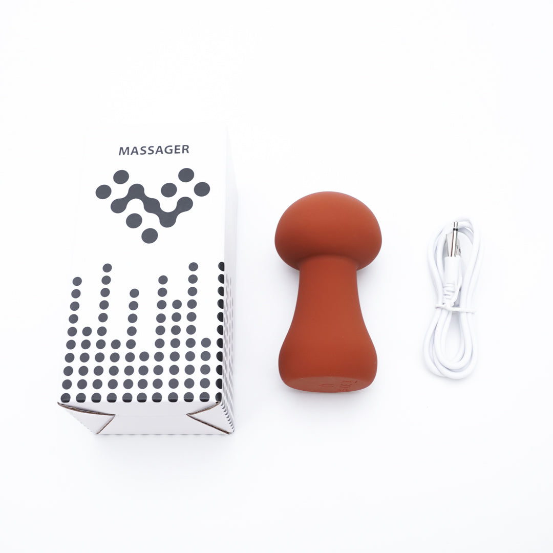 Mushroom Massage Vibrator and its packaging