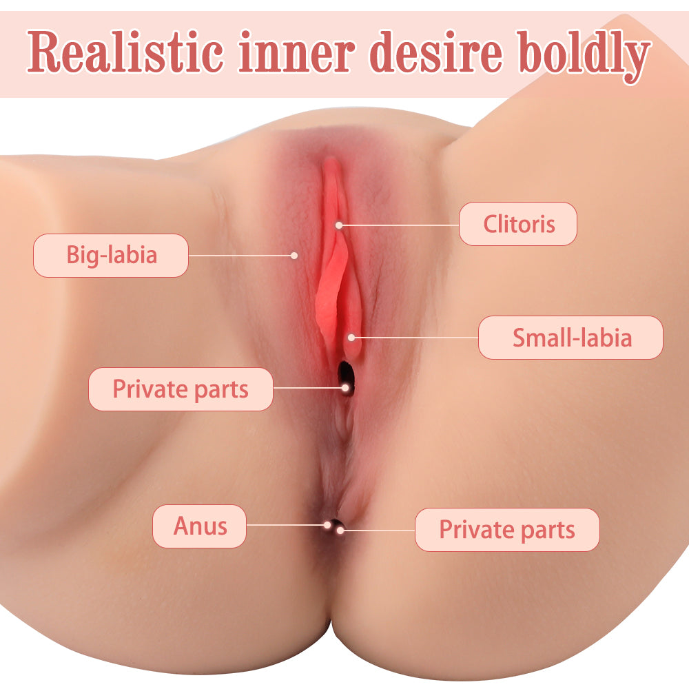 Eva Doll Realistic Vagina and Ass Masturbator anatomy diagram