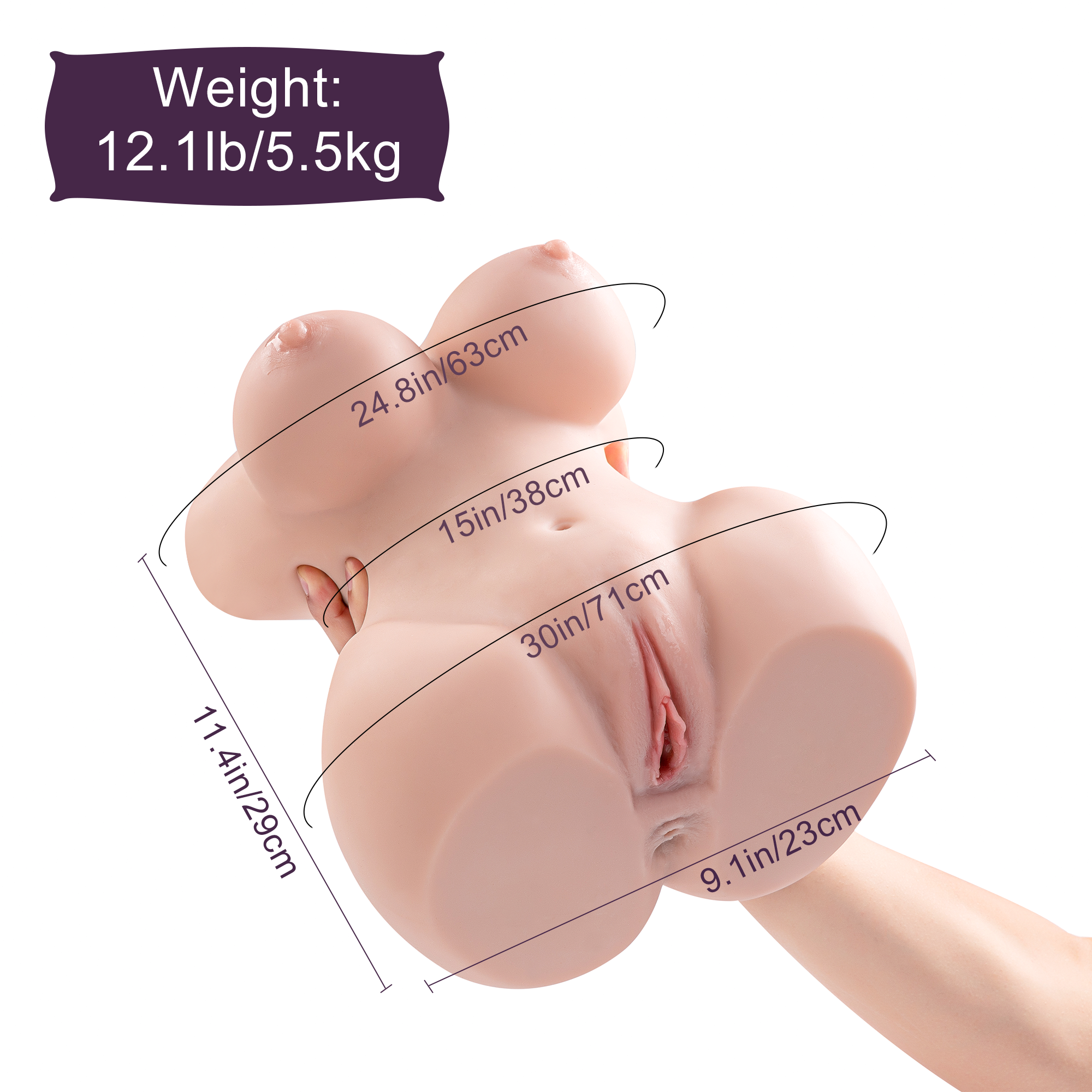 Realistic female torso masturbator with dimensions.