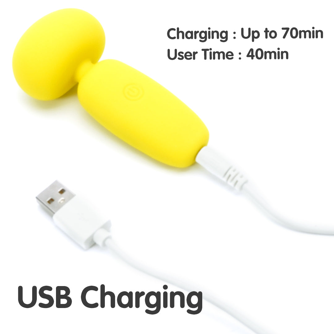Buster mini wand massager with USB charging.
