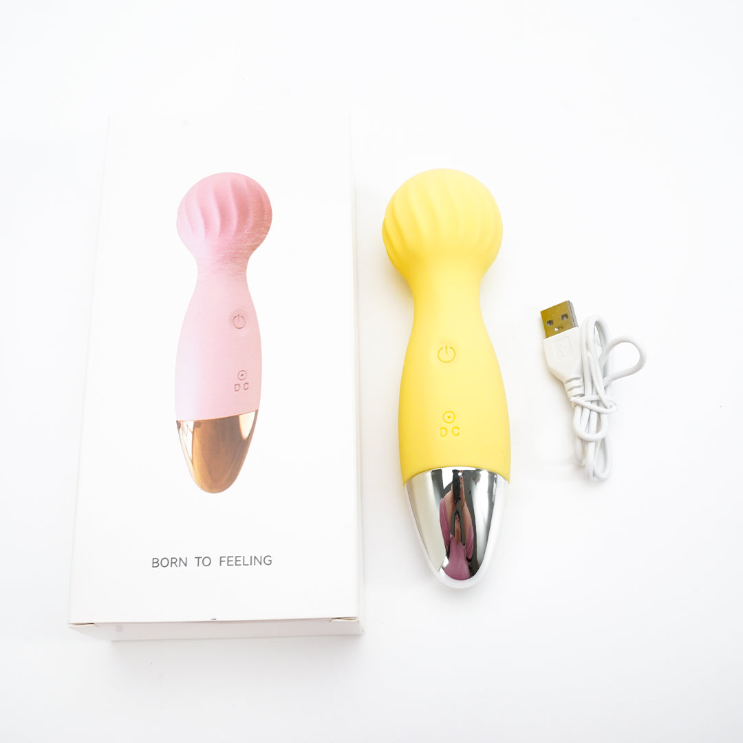 BrightJoy AV vibrator with package and USB charger