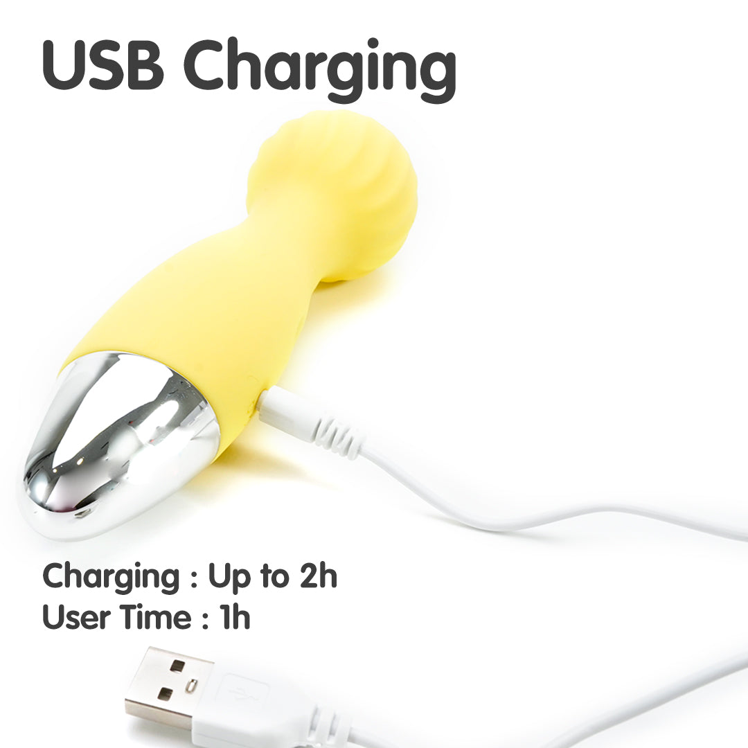 BrightJoy AV vibrator with USB charging