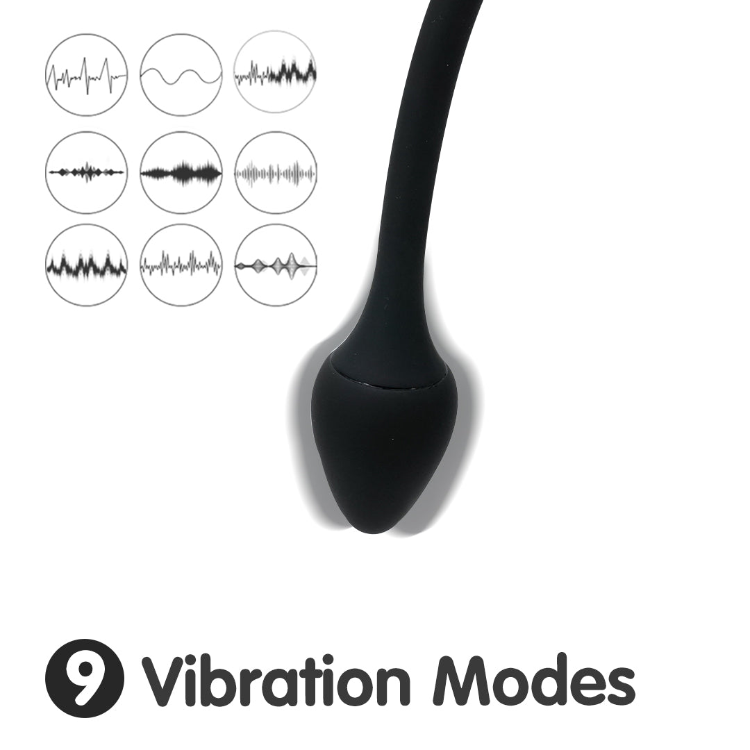 CRADLE OF DEVIL prostate massager, featuring 9 vibration modes.