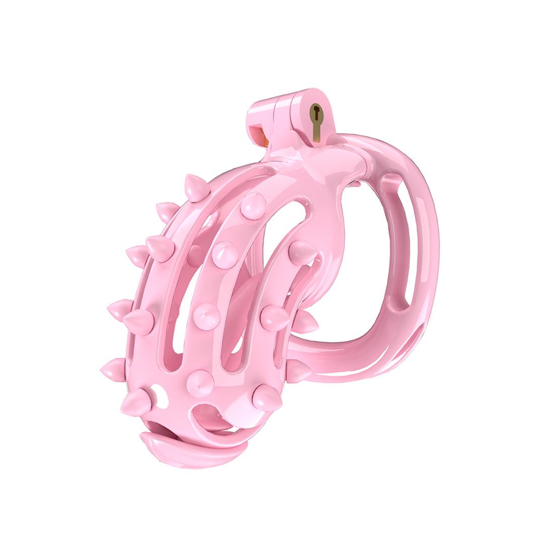Blush Thorn Chastity Cock Cage Kit