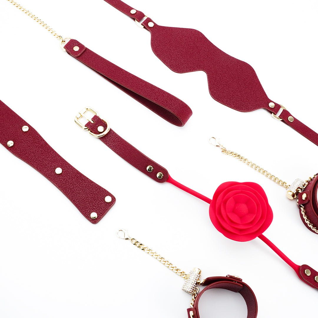 Midnight Desire Bondage Set components, red leather and gold accents