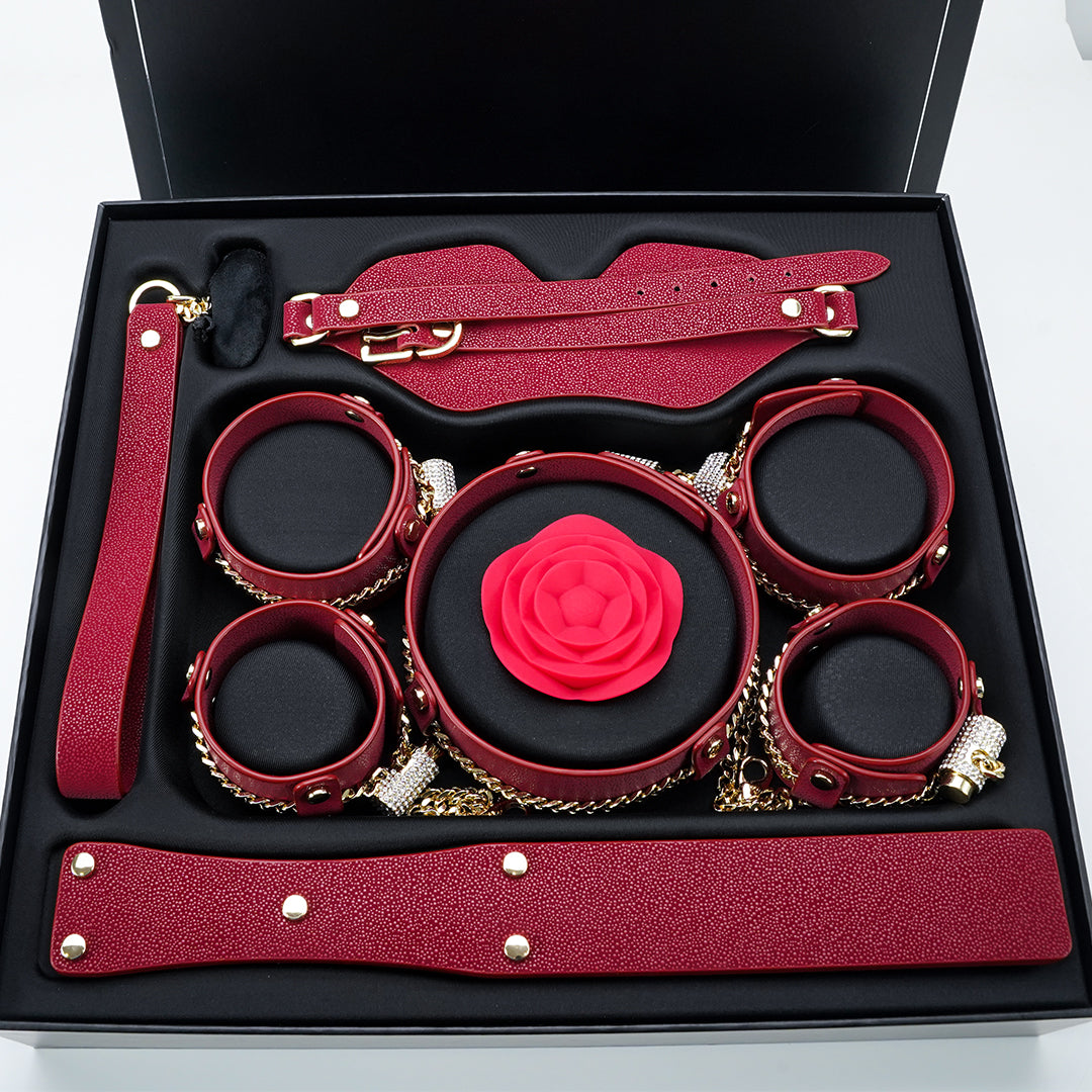 Luxury BDSM set with red leather and gold accents