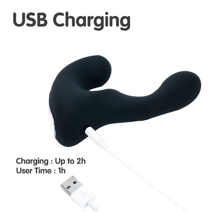 LANDYS-RCT prostate massager charging via USB