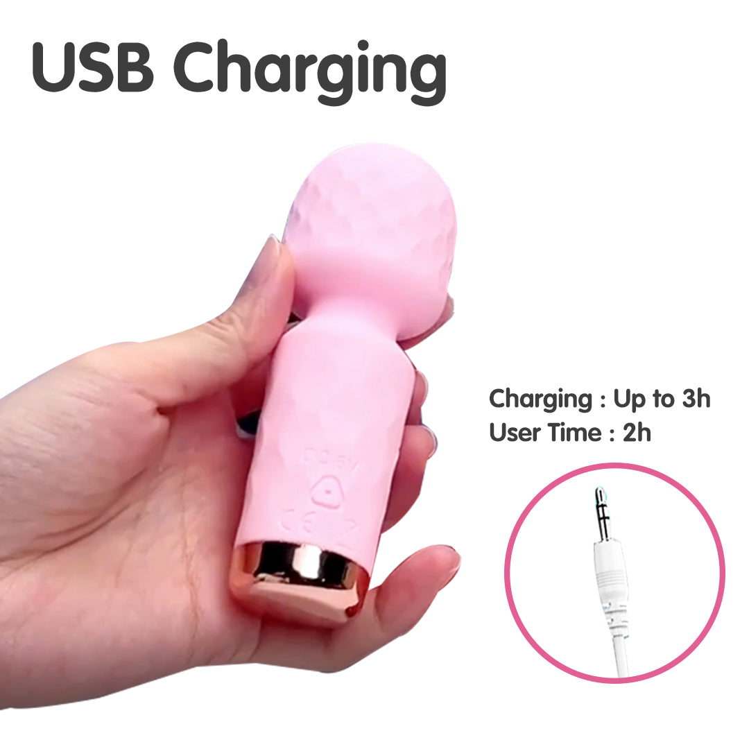 Pink Whisper vibrator, USB charging, and usage information.