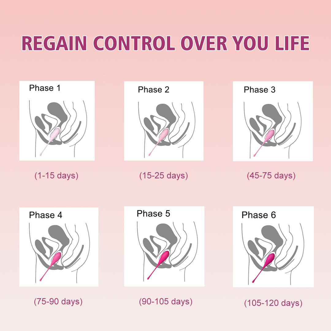 Mellow Kegel Training Kit