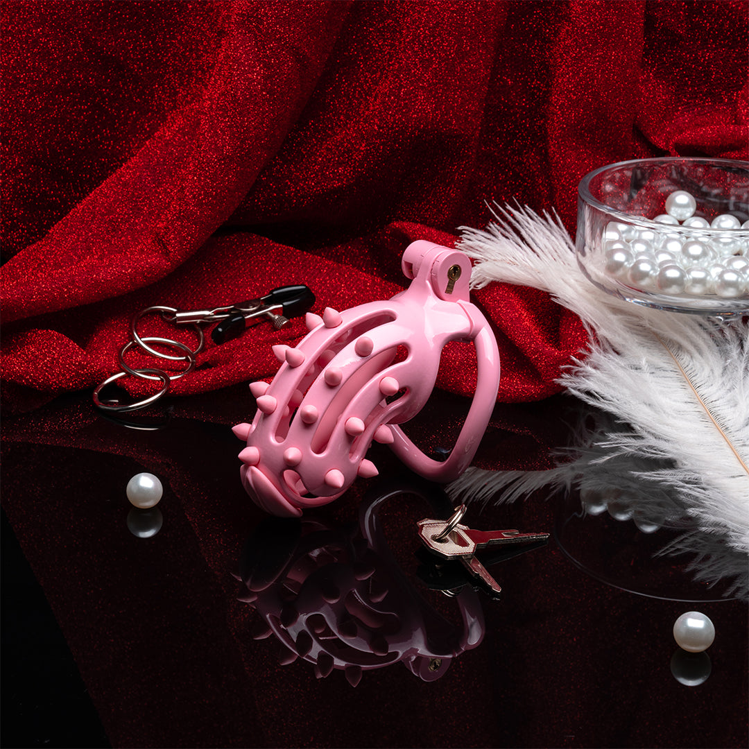 Blush Thorn Chastity Cock Cage Kit