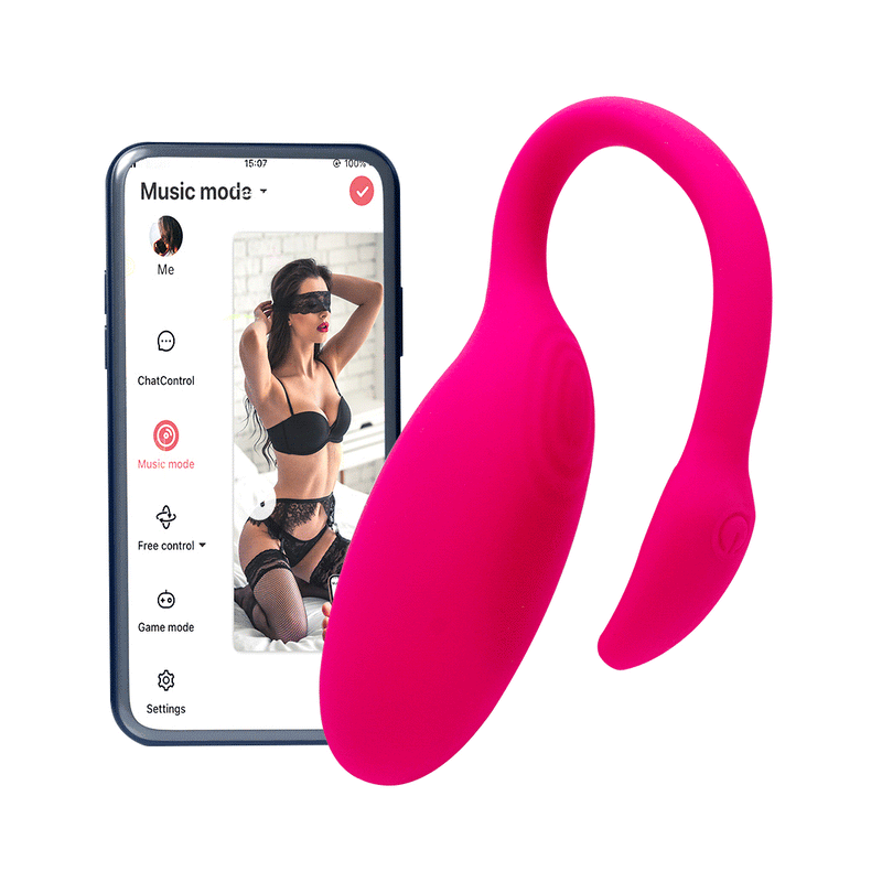 remote controled vibrator