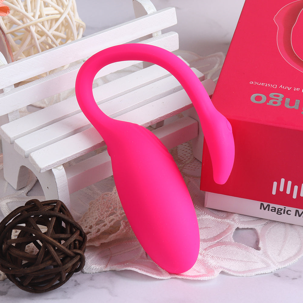 Flamingo APP Controlled Wearable Vibrator